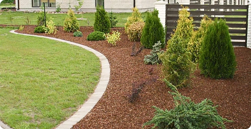 Озеленение и посадка растений