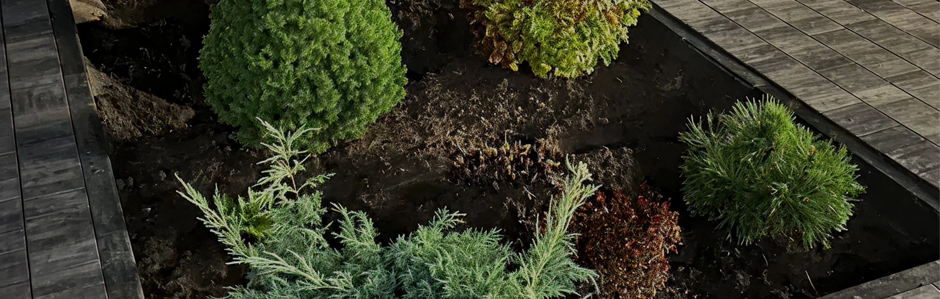 Фото проекта