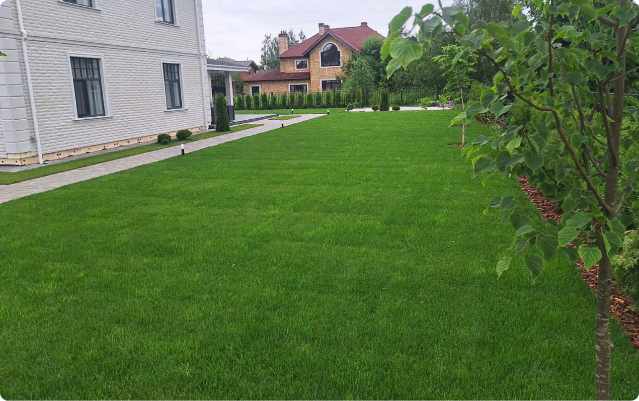 Укладка газона